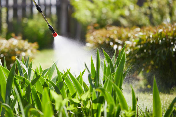 24/7 Emergency Fumigation Services experts in Mission Hills, KS
