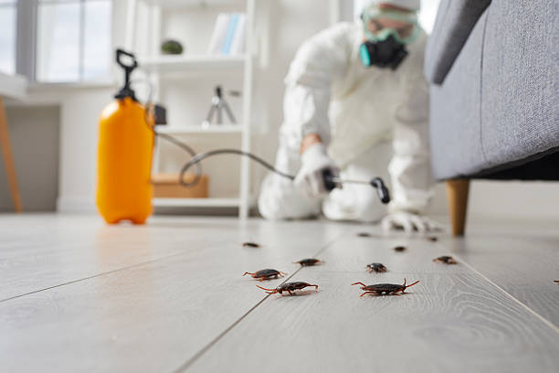 Trusted Fumigation Services service in Mission Hills, KS - Nex Pest Control