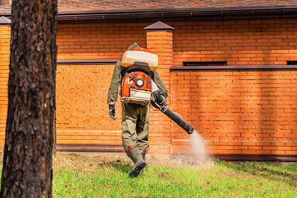 Trusted Termite Control service in Mission Hills, KS - Nex Pest Control